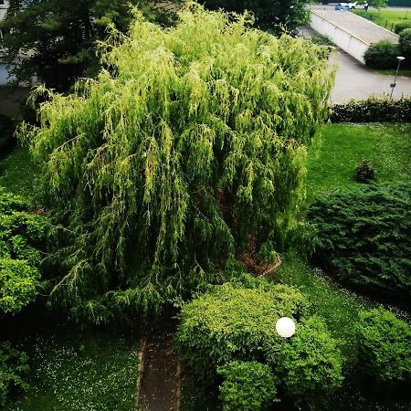 P' Ti Ecrin De Verdure Illzach ภายนอก รูปภาพ